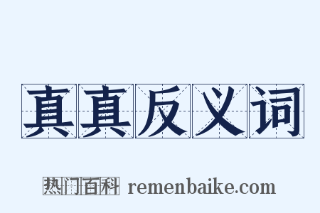 真真反义词是什么意思的图片